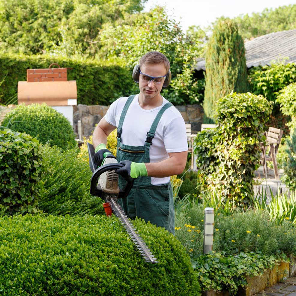 jardinier paysagiste